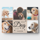 Rustieke Beste Hond Ooit Herdenking Moderne Fotoco Fotoplaat (voorkant)