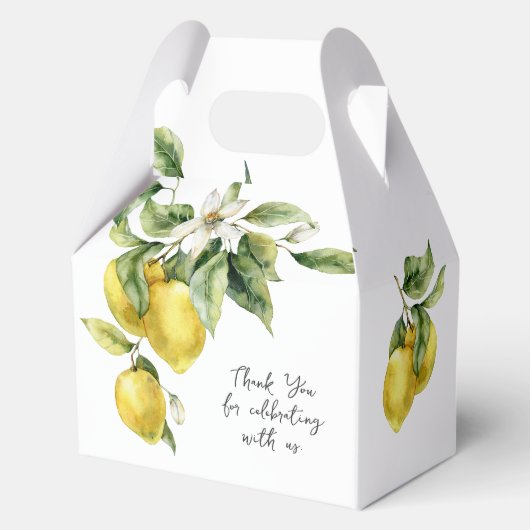 Rustieke Boho Waterverf Citroenen Bruidsuitnodigin Bedankdoosjes (Voorkant)