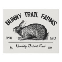 Rustieke Bunny Trail Boerderijen  Konijn