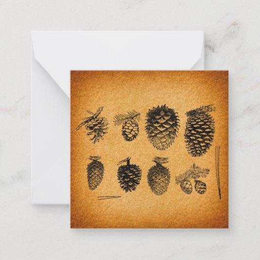 Rustieke Denneappels Denneappel Kunst Ambachtelijk Notitiekaartje (Voorkant)