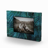 Rustieke dennenbomen dennenbos groen groenblijvend fotoblokken (Rechts)