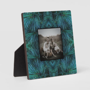 Rustieke dennenbomen dennenbos groen groenblijvend fotoplaat