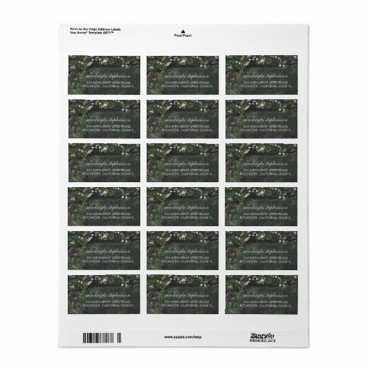 Rustieke en  Lights Tree Bruiloft Etiket (Full Sheet)