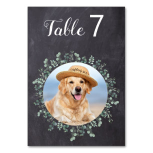 Rustieke Eucalyptus Krijtbord Hond Foto Huisdier T Kaart