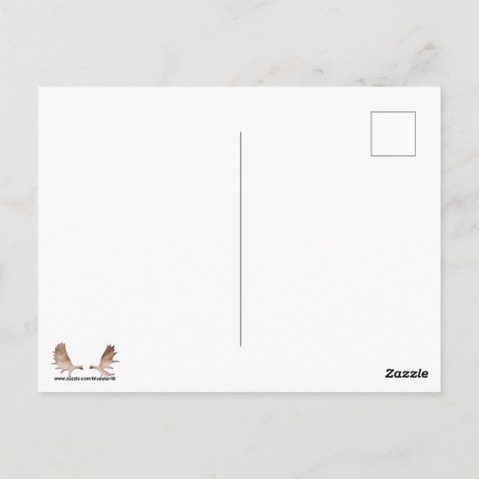 Rustieke forel briefkaart (Achterkant)