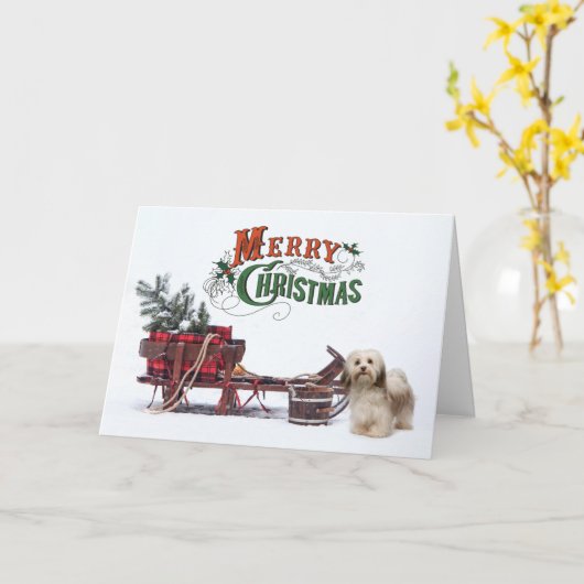 Rustieke Havanese Kerst Kaart (Gele Bloem)