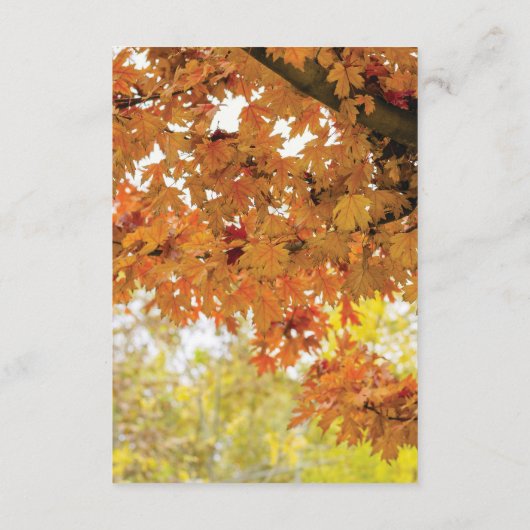 Rustieke Herfst herfst boomverlichting bruiloft Informatiekaartje (Achterkant)