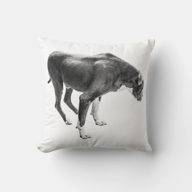 Rustieke Herfst Protector Kussen (Voorkant)