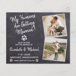 Rustieke honden trouwbudget save the date ansichtk