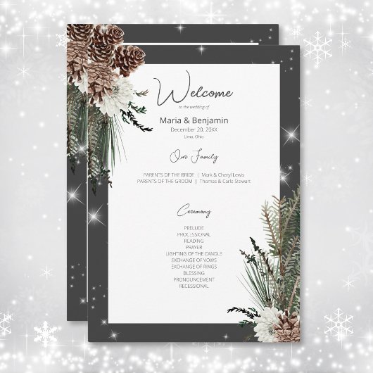 Rustieke Houtskool Zwarte Pijn Winter Sparkle Brui Programma