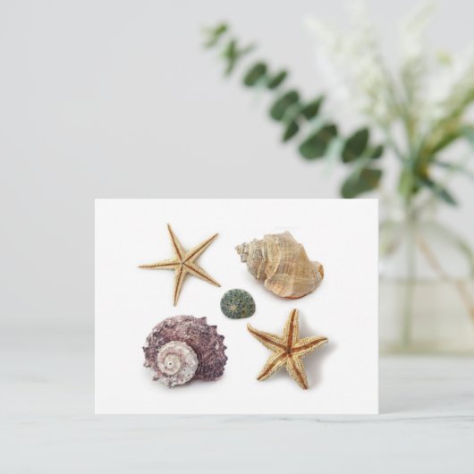 Rustieke kuststrand chique zeeschelp zeesterren briefkaart (Staand voorkant)