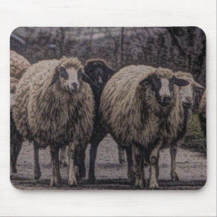 Rustieke landweg ranch boerderij kudde schapen muismat