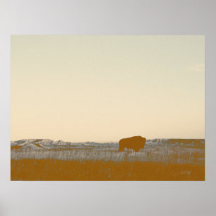 Rustieke Lone Buffalo foto van de Badlands Poster