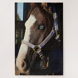 Rustieke Paardenfotografie Puzzel- Originele Foto Legpuzzel