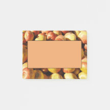 Rustieke Pastel Kleurrijke Herfst Apple Orchard Oo
