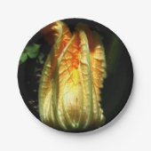 Rustieke, pompoenbloesem aangepaste papieren Borde Papieren Bordje (Voorkant)