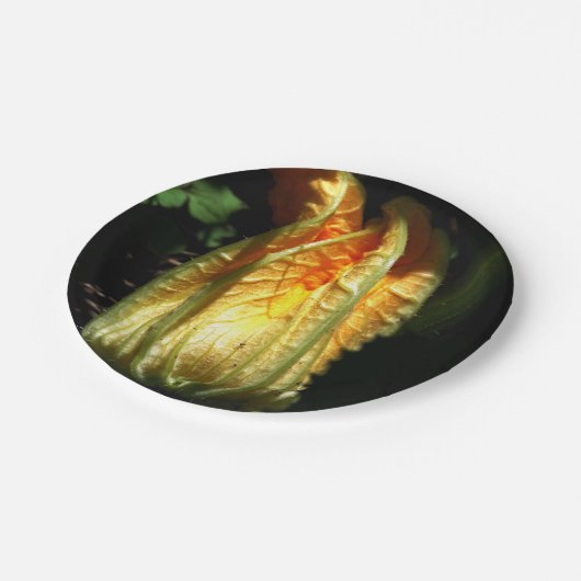 Rustieke, pompoenbloesem aangepaste papieren Borde Papieren Bordje (Gekanteld)