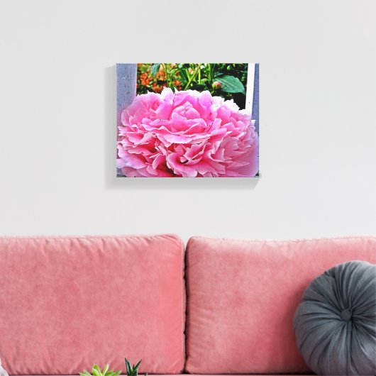 Rustieke Roze Pioenbloem Canvas Afdruk (Insitu (Woonkamer))