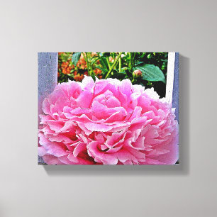 Rustieke Roze Pioenbloem Canvas Afdruk
