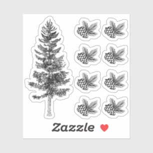 Rustieke schets dennenboom & kegels bos bosland sticker