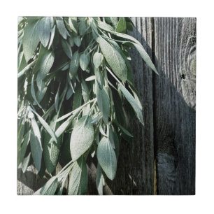 Rustieke schuur-hout botanische kruiden tegeltje