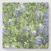 Rustieke stenen Onderzetters met Bluebonnets (Voorkant)