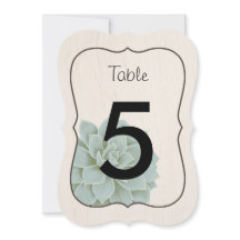 Rustieke succulente tafel nummers
