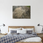 Rustieke Tumbleweed Wrapped Canvas Art Afdruk (Insitu (Slaapkamer))