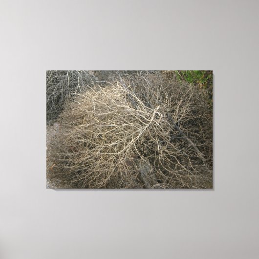 Rustieke Tumbleweed Wrapped Canvas Art Afdruk (Voorkant)