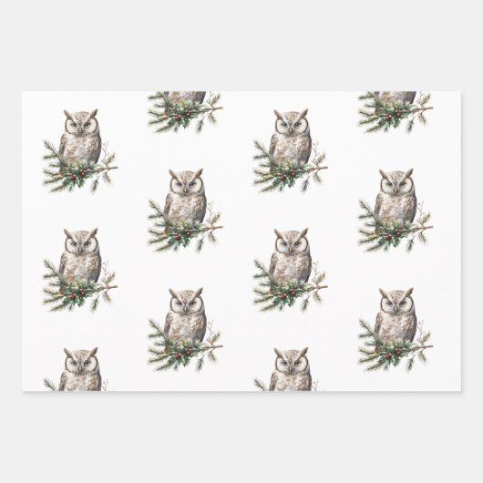 Rustieke uilen en bloemen inpakpapier vel (Voorkant)