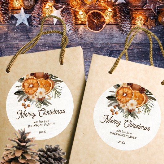 Rustieke Vrolijke Kerstmis botanische droge citrus Ronde Sticker