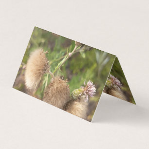 Rustieke Wilde Distel Botanische Visitekaart Visitekaartjes