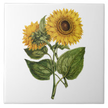 Rustieke Zonnebloem Decoratie
