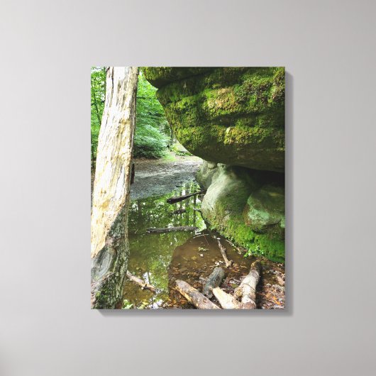 Rustig boscanvasprint | Echt landschap Canvas Afdruk (Voorkant)