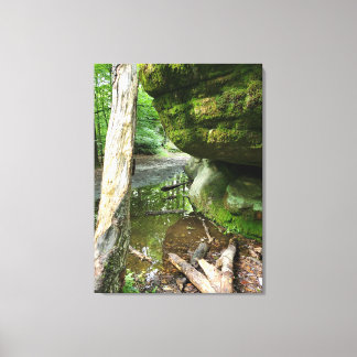 Rustig boscanvasprint | Echt landschap Canvas Afdruk