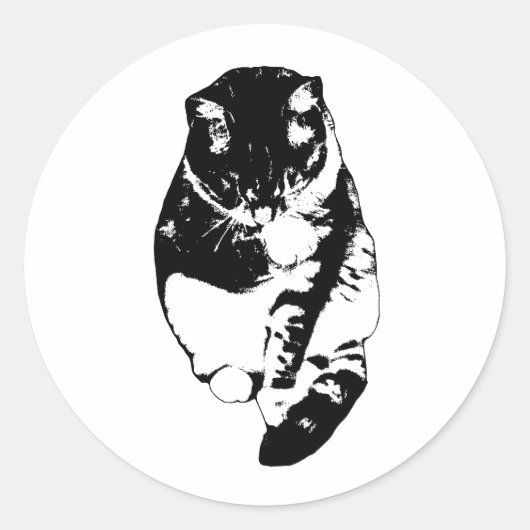 Rustig Sneeuwglans Ronde Sticker (Voorkant)