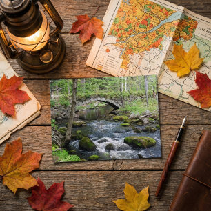 Rustig water: Gleason Falls Road-brug Briefkaart