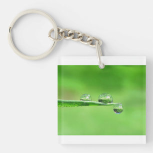 Rustig zen groen gras met dauwdruppels natuur sleutelhanger