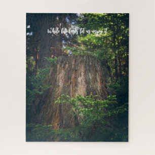 Rustig zomerbos legpuzzel