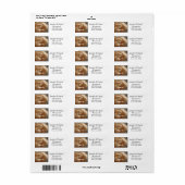 Rustige Adresetiketten Cream-Roos Etiket (Full Sheet)