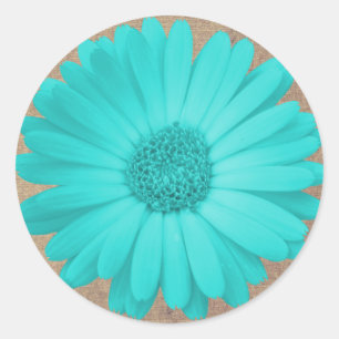 Rustige Blauwgroen Gerber Daisy Round Stickers zeg
