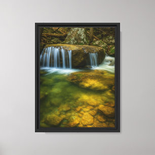 Rustige Forest Stream Ingelijste Canvas Art Print