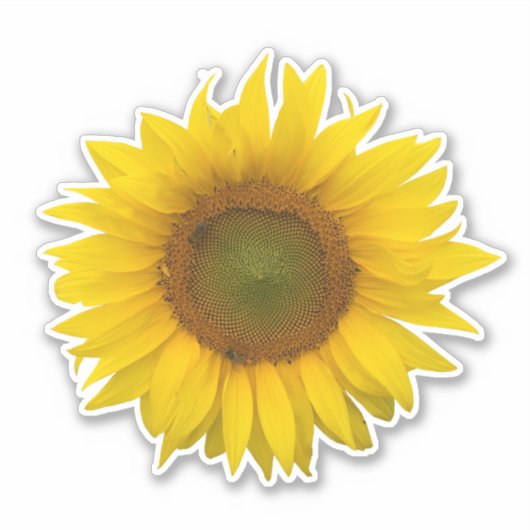 Rustige Gele Zonnebloem Sticker (Voorkant)
