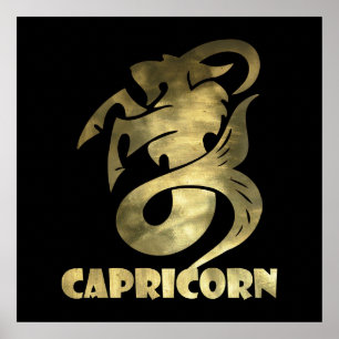 Rustige goudcapricorgeit 2 poster