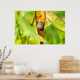 rustige hechting poster