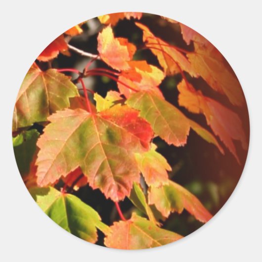 Rustige Herfst in liefdesweddenschapskist Ronde Sticker (Voorkant)