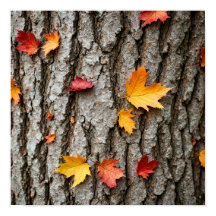 Rustige herfstbladeren herfstkleuren boomstam