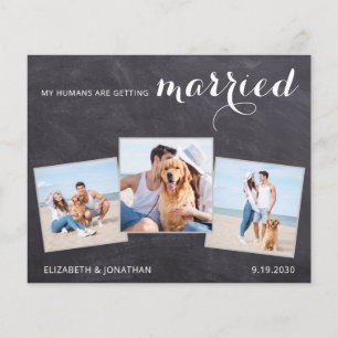 Rustige Hondenbruiloft 3 Foto Budget Save The Date