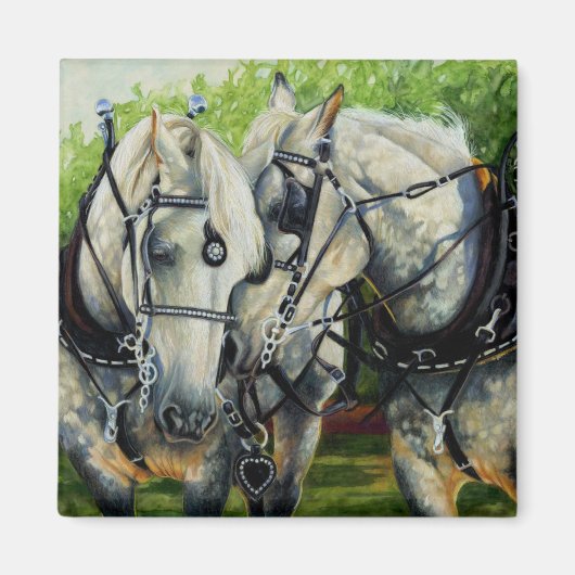 Rustige kracht - Percheron Paard Team Magneet (Voorkant)
