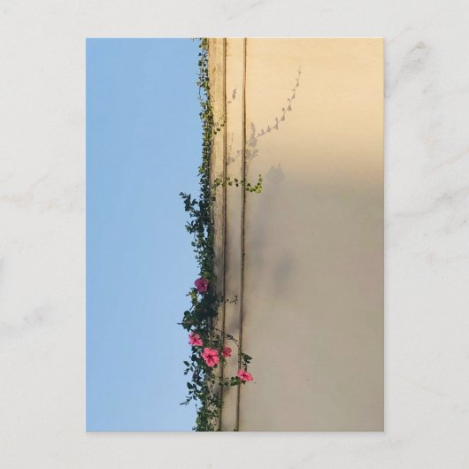 Rustige Moment Foto Briefkaart (Voorkant)